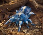 Folkmanis Blue Tarantula Hand Puppet - Image 7
